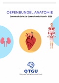 Decentrale Selectie Geneeskunde Utrecht 2023: Oefenbundel Anatomie