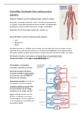 Samenvatting Menselijke fysiologie: Cardiovasculair systeem 