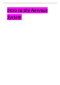 Intro to the Nervous System.pdf