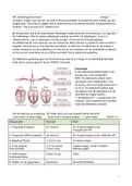 Samenvatting  Ritme en geleidingsstoornissen (4500AS4_22)