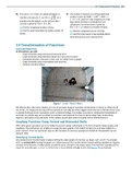 transformation of functions&comma;