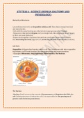 ATI TEAS 7 Anatomy and Physiology