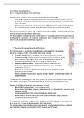 uitgebreide Samenvatting hoofdstuk 1 en 2 silverthorn human physiology