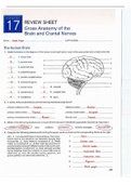 Mastering the mind: Nervous system and cranial nerves worksheet answers