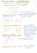 Samenvatting + Examenvragen Proteïnechemie 