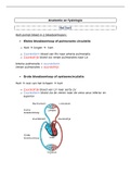 Samenvatting anatomie en fysioligie deel 1