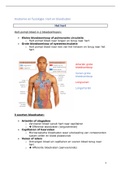 Samenvatting anatomie - Bloedvaten