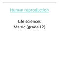 Human Reproduction (matric IEB) - Life Sciences 