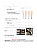 ASM 275: Forensic Anthropology Exam 3 Study Guide