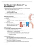 samenvatting anatomie en fysiologie hoofdstuk 13 bloedvaten en bloedsomloop