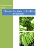 el cultivo de banano, oro verde en rep. dominicana