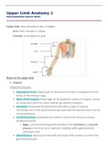 Upper Limb Anatomy