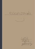 resumen tema3 "Introducció a l'economia i l'empresa"