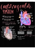 Circulatory system summary