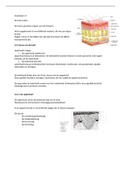 samenvatting anatomie en fysiologie van de mens hoofdstuk 14