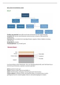 Heldere en volledige samenvatting voor het vak Biologische Grondslagen: Cognitie,
