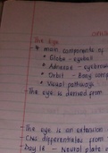 Surgery notes