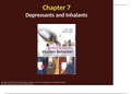 TTU PSY 4325 Chapter 7 Depressants and Inhalants Lecture Slides