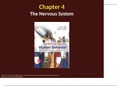 TTU PSY 4325 Chapter 4 The Nervous System Lecture Slides