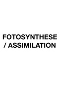 Fotosynthese / Assimilation - Chemie Lernzettel Leistungskurs Abitur 2022 (1,1)