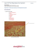 BIO202L Lab 18 The Reproductive System&lbrack;DOWNLOAD TO PASS&rsqb;