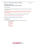 BIO202L Lab 11 The Circulatory System&lbrack;ALREADY PASSED&rsqb;