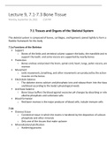Chapter 7 Bone Tissue Notes