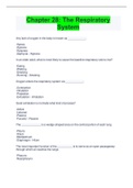 Chapter 28&colon; The Respiratory  System