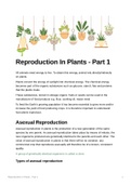 Biology/Life Sciences Class Notes: Reproduction In Plants- Part 1