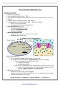 The membrane action potential 