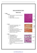 Compleate and well detailed summary of muscular- nervous tissue
