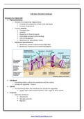 summary of cells basics