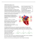 Samenvatting  Cardiologie