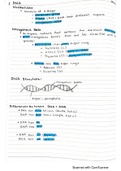 DNA Summary