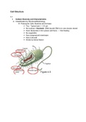 Bio I Lecture 5 Cell Structure 