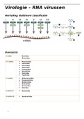 Taxonomie RNA-virussen (virologie, microbio P Delputte, 3e Ba DGK)