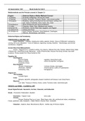 Collin College ARTS 1301 Study Guide Unit 2