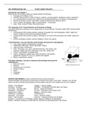 Collin College ARTS 1301 Study Guide Unit 1