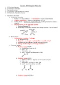 Biology Chapter 3 - Biological Molecules