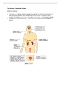 Human endocrine system grade 12 notes (  Class notes Life Sciences (Biology))