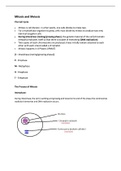 Mitosis and Meiosis grade 12 life science notes