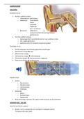 Samenvatting basisbegrippen audiologie 1