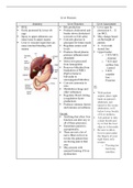 Liver Diseases in Primary Care