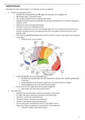 Samenvatting neuropsychologie