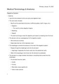 Human Anatomy and Terminology