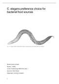 Report Ecophysiology; C. elegans preference choice for bacterial food sources