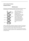 DNA Structure - IGCSE Cambridge Biology 2021 Edition (Biological Molecules)