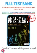 Test Bank For Anatomy & Physiology 10th Edition by Kevin T&period; Patton 9780323528795 Chapter 1-48 Complete Guide&period;