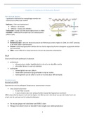 Samenvatting hoofdstuk 1 tot en met 8 van moleculaire biologie (3ML/FB) periode 1 en 2
