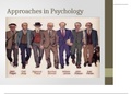 psychology 